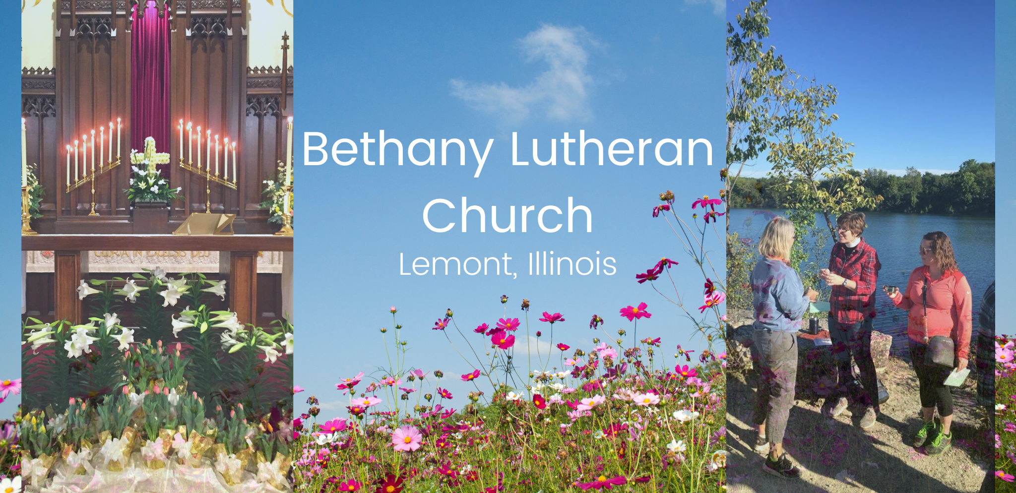 Wldflower Bethany Lutheran Church Easter Season (1).png